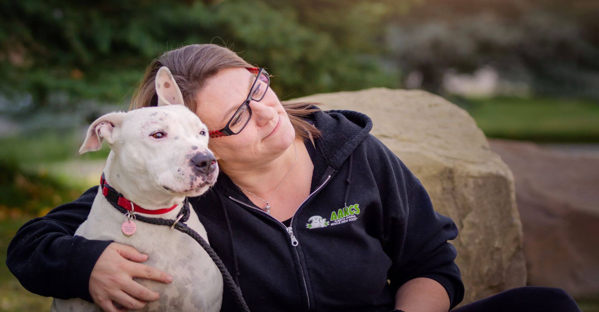 A Day in the Life of an Animal Shelter Volunteer