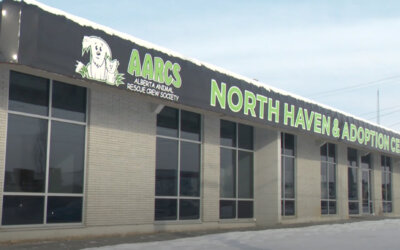 AARCS North Haven Closure