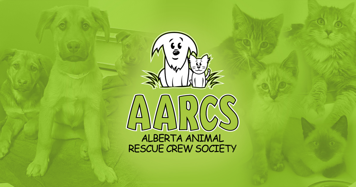 Animal Rescue 