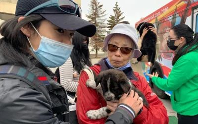 Calgary commuters cuddle with furry friends at Puppy Bus event