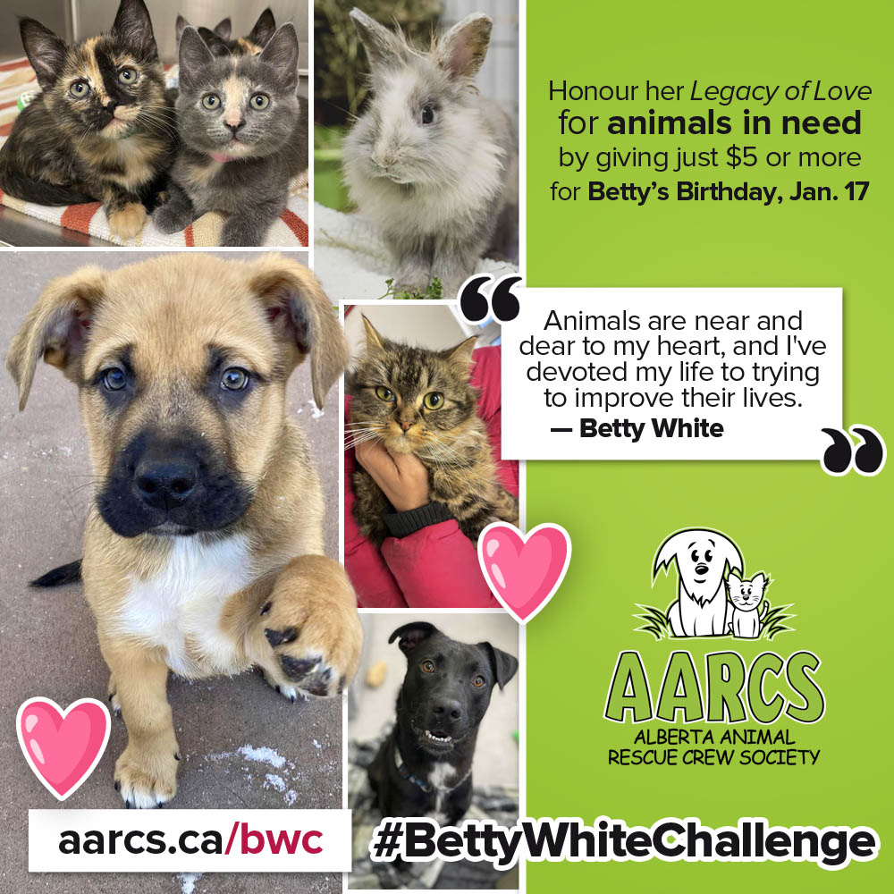 Betty White Challenge - AARCS