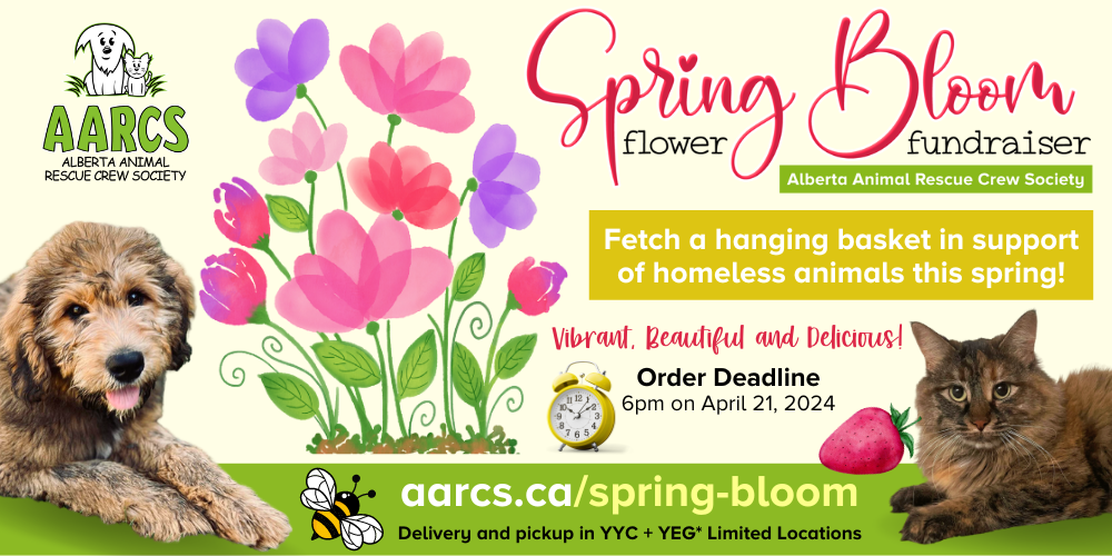 🌼2024 Spring Bloom Fundraiser