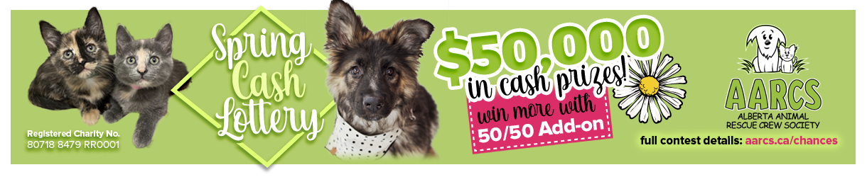 aarcs-springlotto-checkout-banner