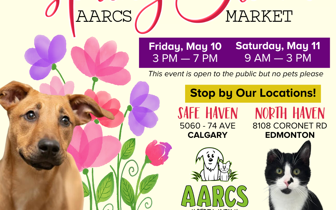 🌸AARCS Spring Market 🌸