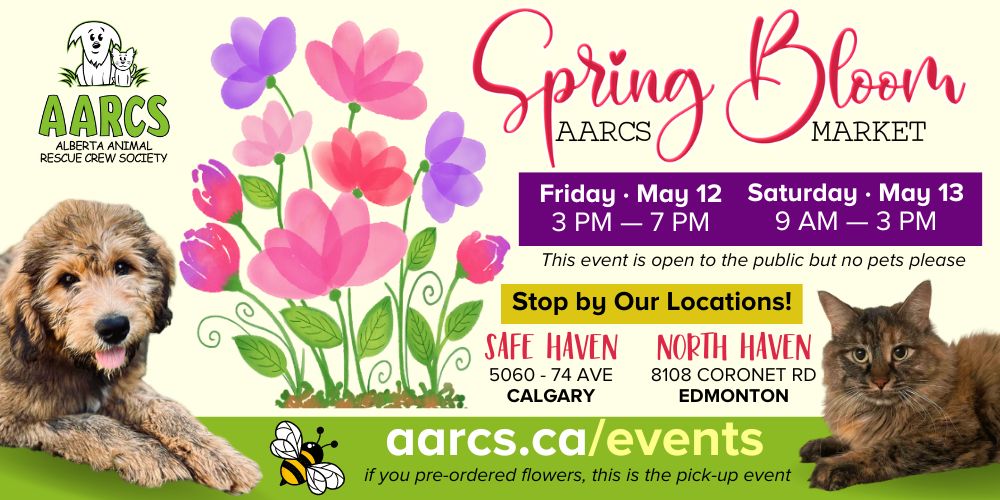 🌸AARCS Spring Market 🌸