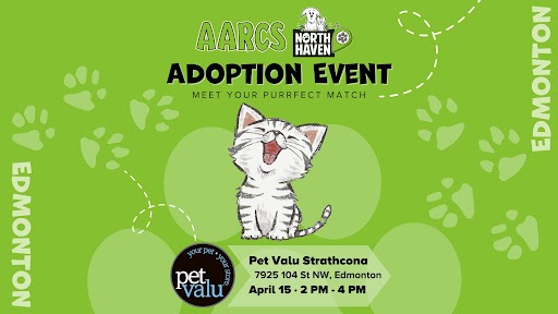 YEG Cat Adoption Event April 15