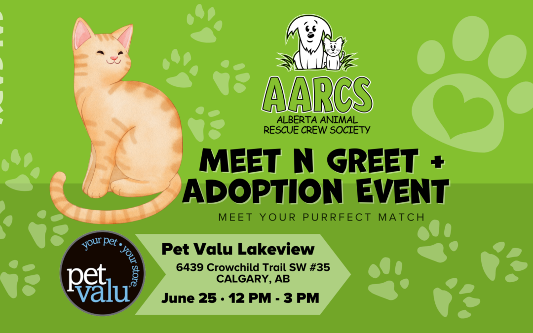 YYC Cat Adoption Event June 25