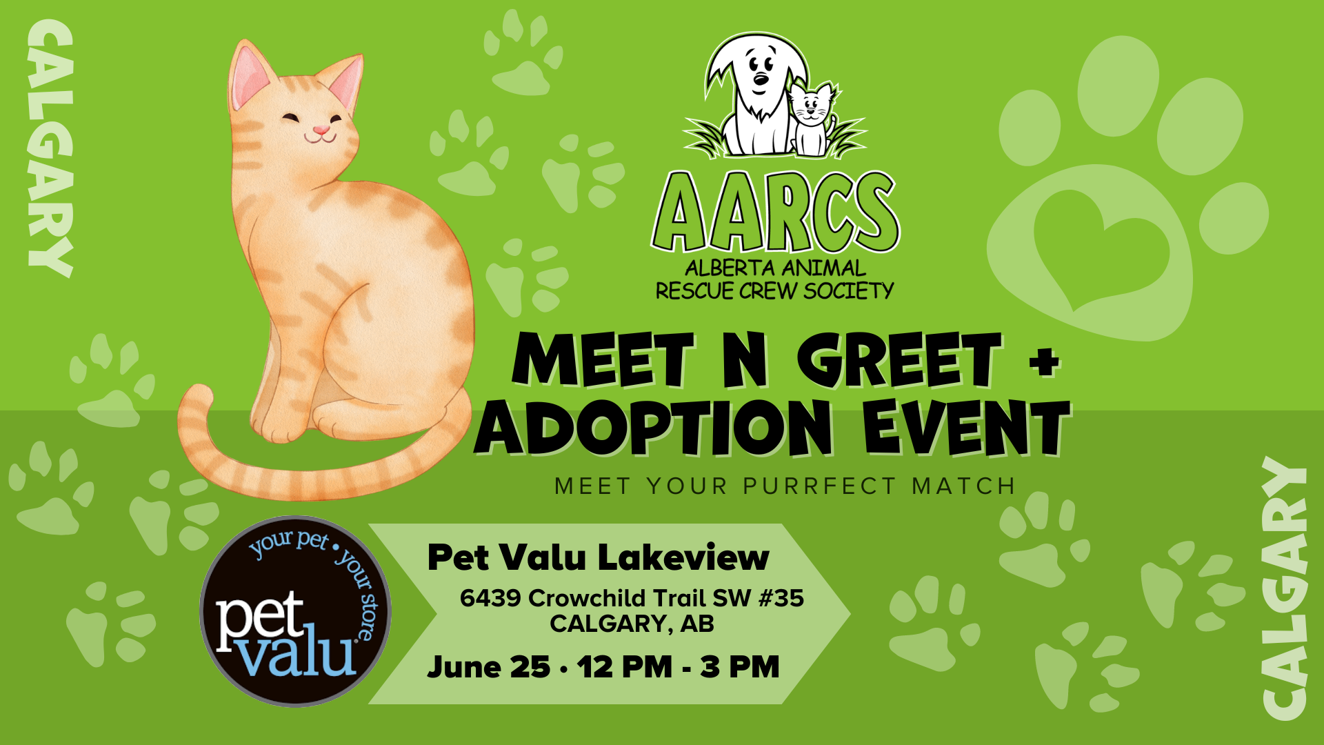 Kitten adoption deals events near me