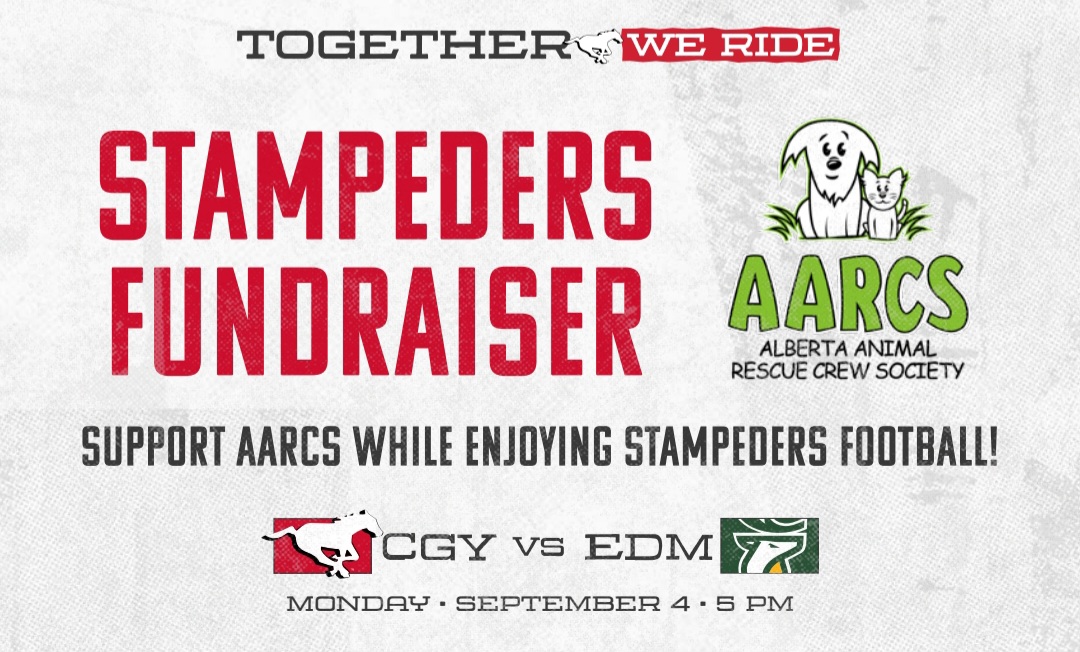 🏈 Stampeders VS Elks on September 4th, 2023 🏈