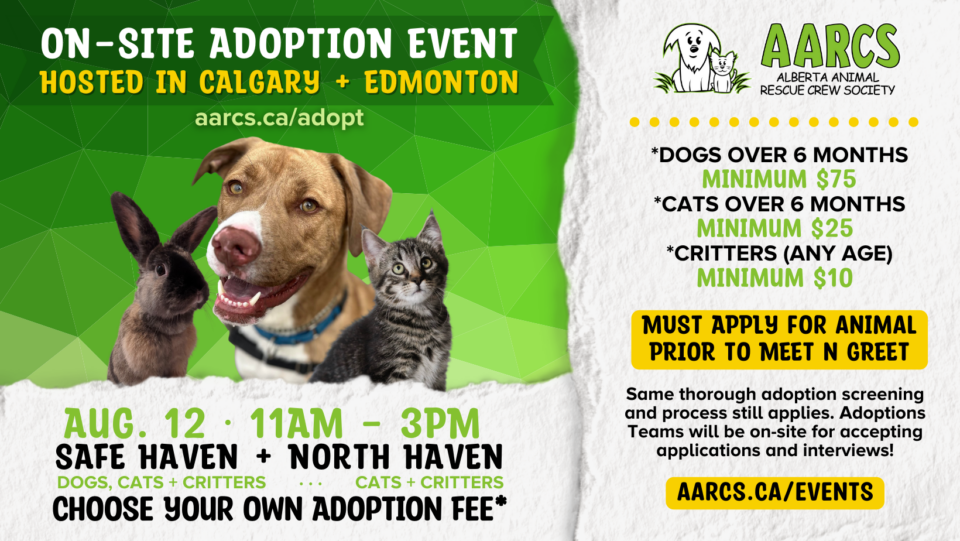 Adoptable Dogs, Cats • Greater Edmonton Animal Rescue Society