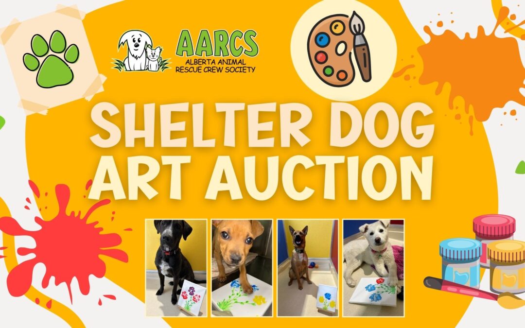 Shelter Dog Art Auction