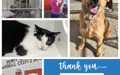 PetSmart Transport Prep Grant – Impact Story