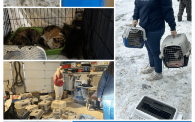 PetSmart Transport Grant – Impact Story
