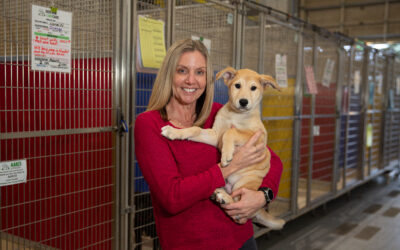Charitable Choices: Calgary Guardian Interview with Deanna Thompson of AARCS