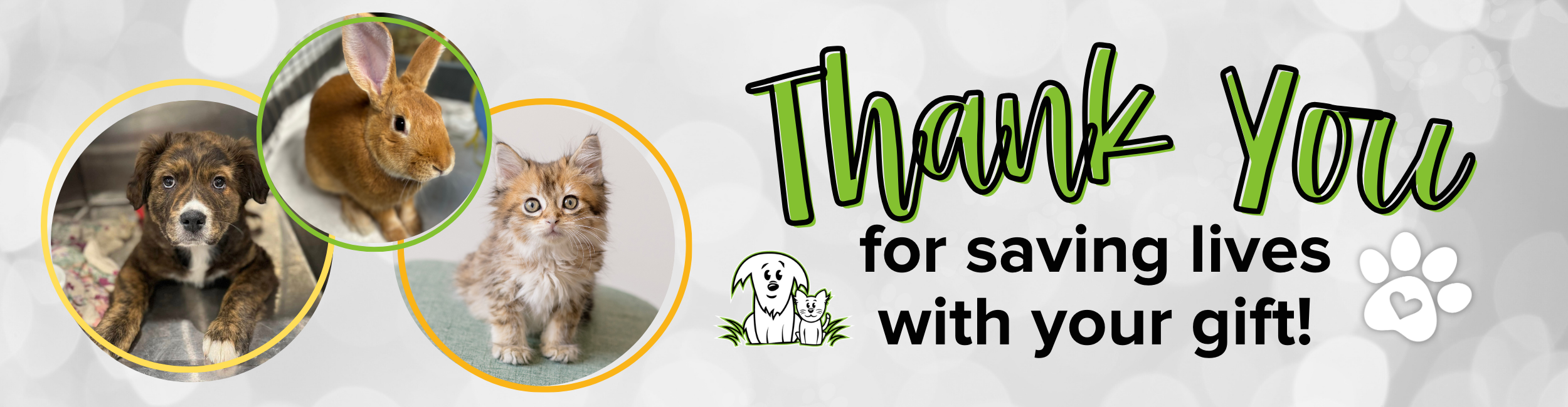 Thank You neutral Thank You for Your Donation
