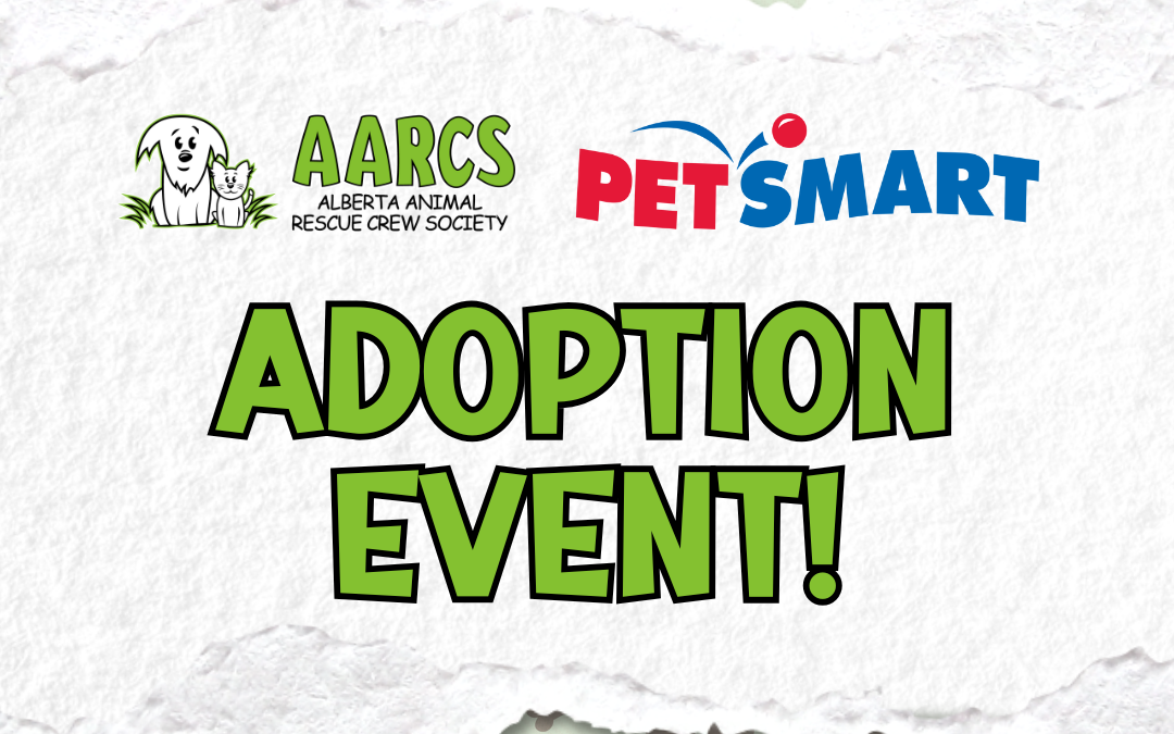 AARCS Dog Adoption Event – PetSmart Okotoks