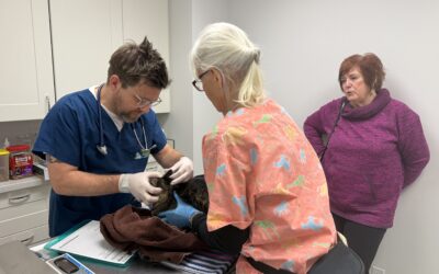 Senior’s Pet Wellness Clinic
