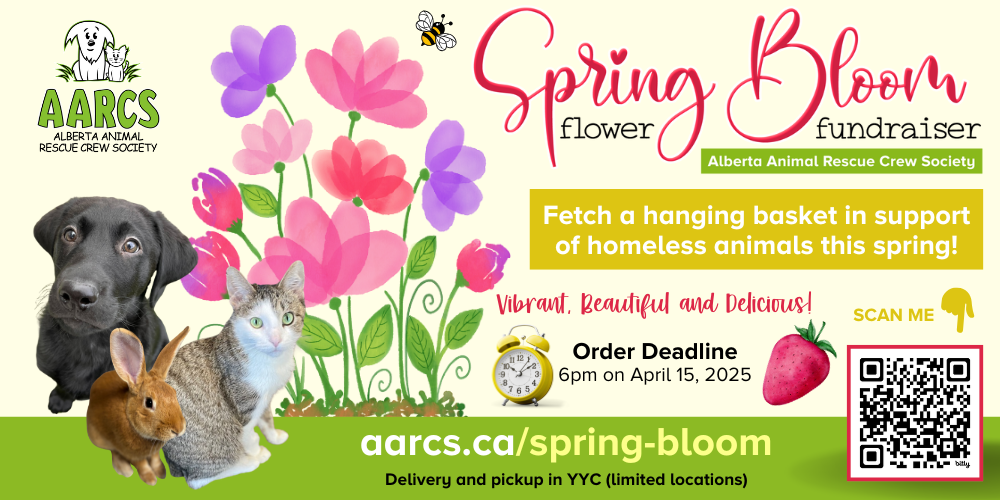 🌼2025 Spring Bloom Fundraiser