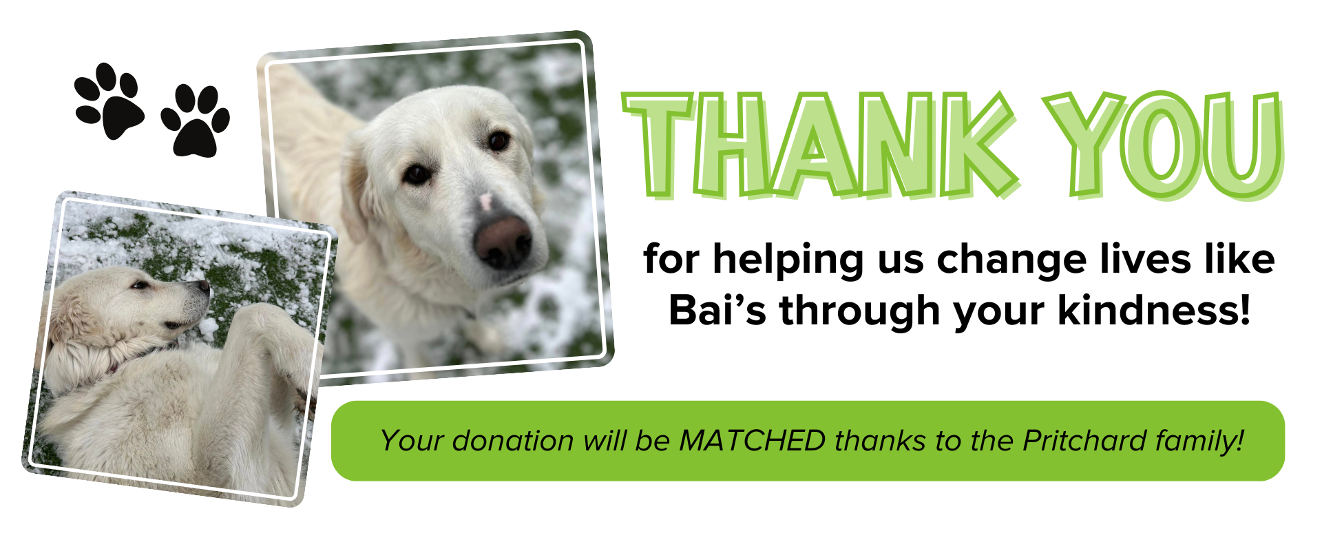 Donor Thank You Header - Spring Mailer