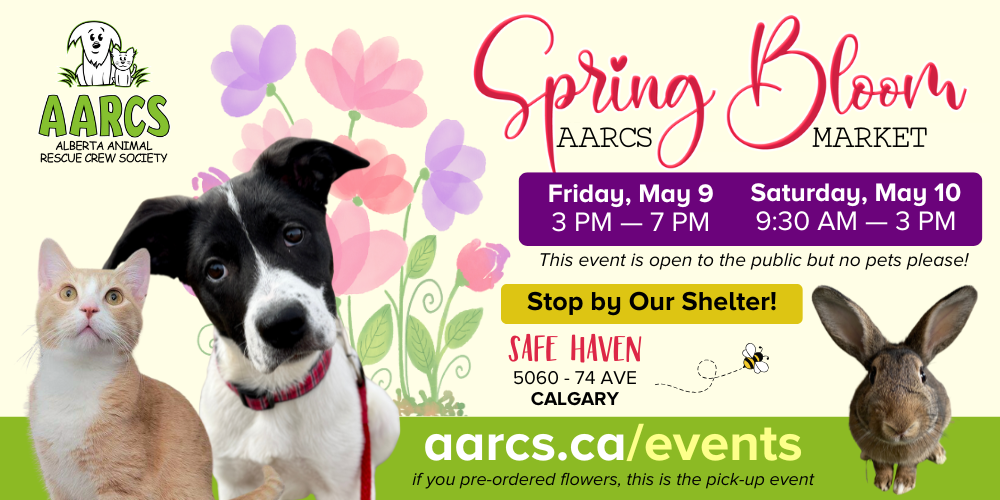 AARCS Annual Spring Market