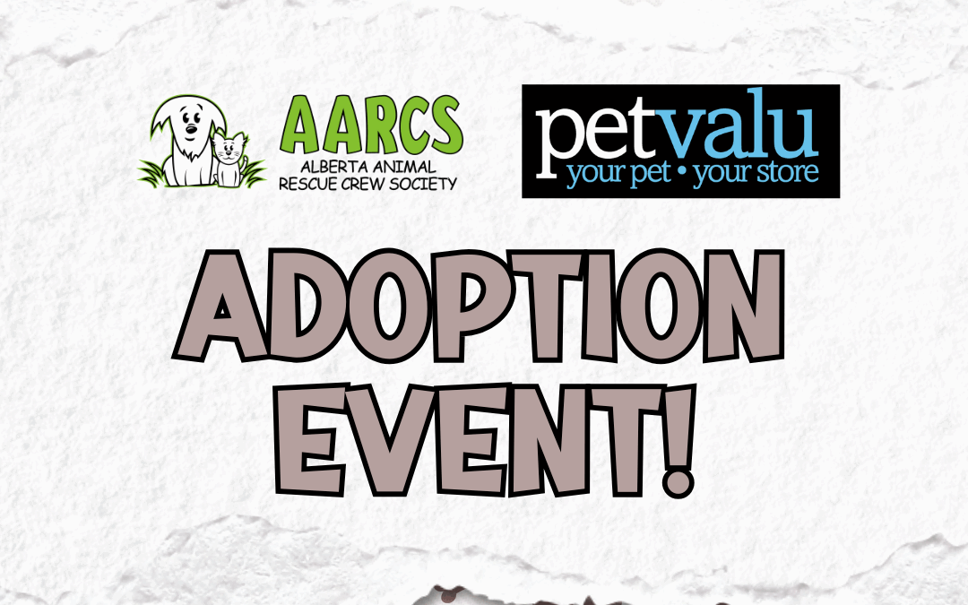 AARCS Adoption Event – PetValu Lakeview