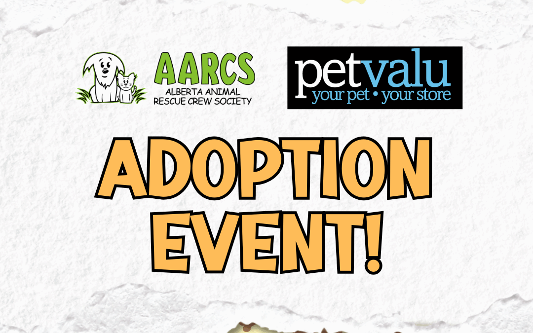 Adoption Event at Pet Valu Shawnessy