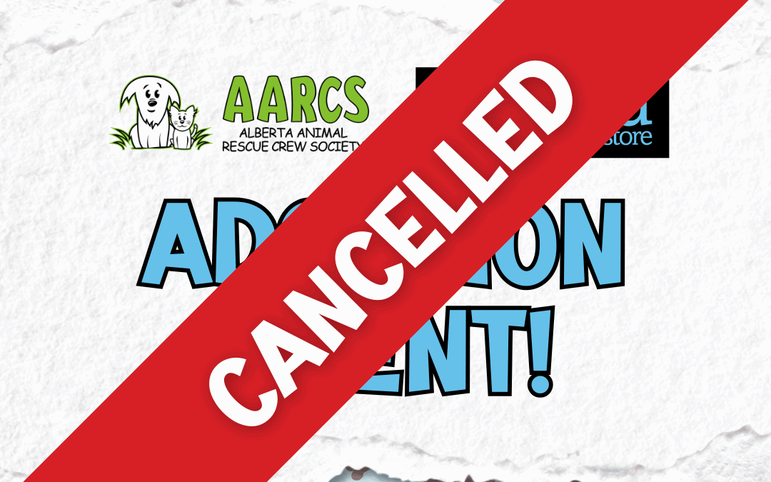 CANCELLED – AARCS Cat Adoption Event – PetValu Lakeview