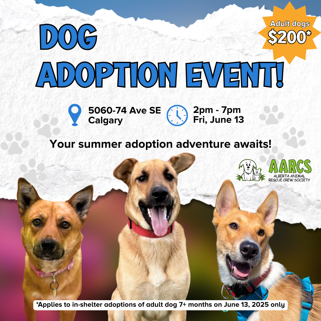 Dog adoption event. June 13th from 2-7pm at AARCS.