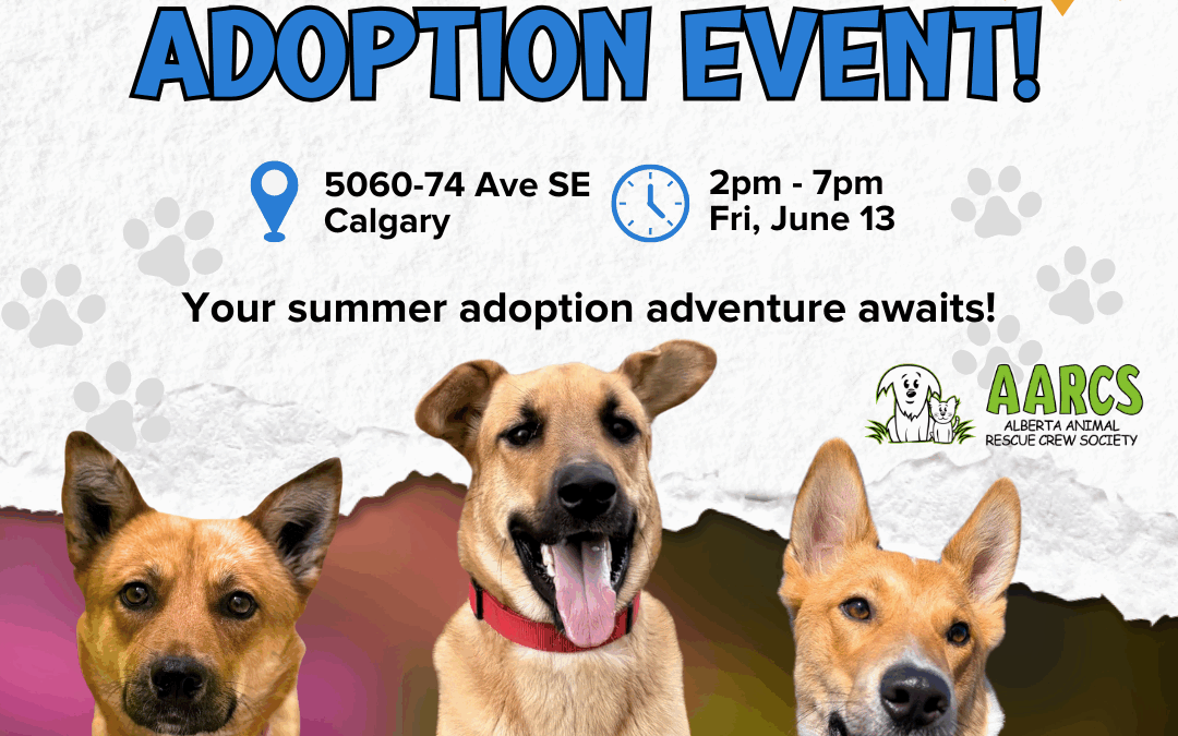 Pop Up AARCS Dog Adoption Event