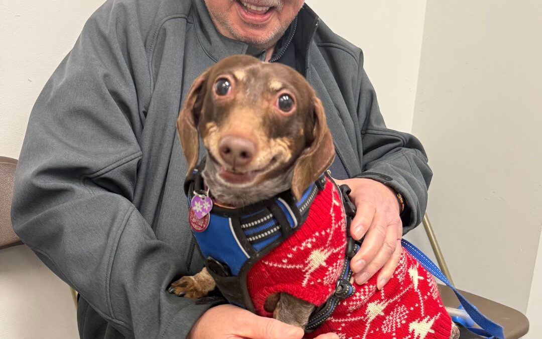 Support for Seniors and Their Pets: Free Wellness Clinic