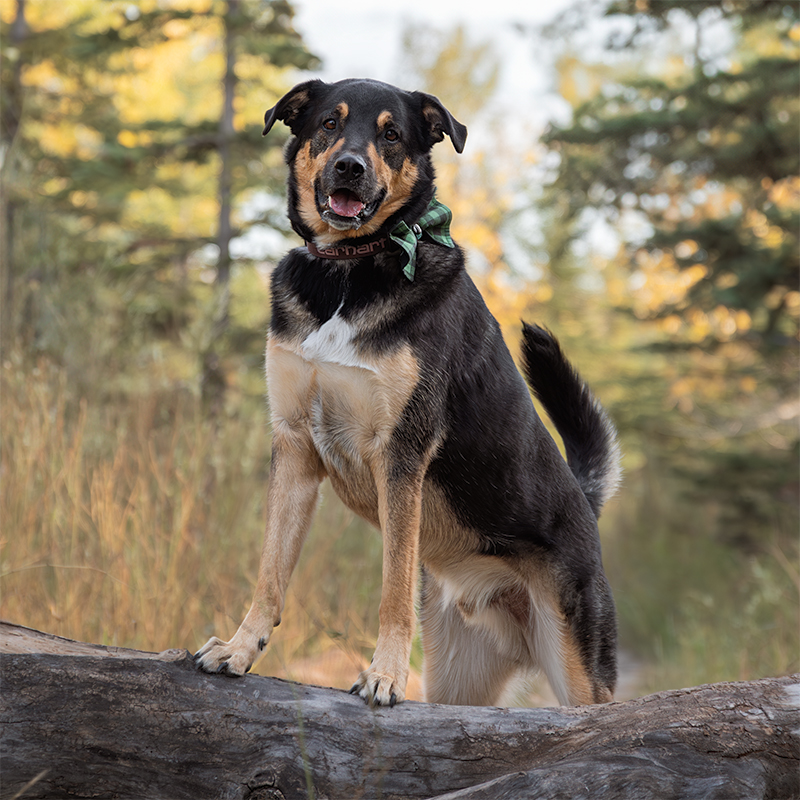 Pecorino_RenaviaPhotography_1_square