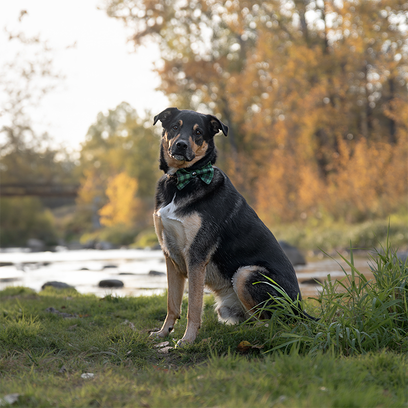 Pecorino_RenaviaPhotography_2_square