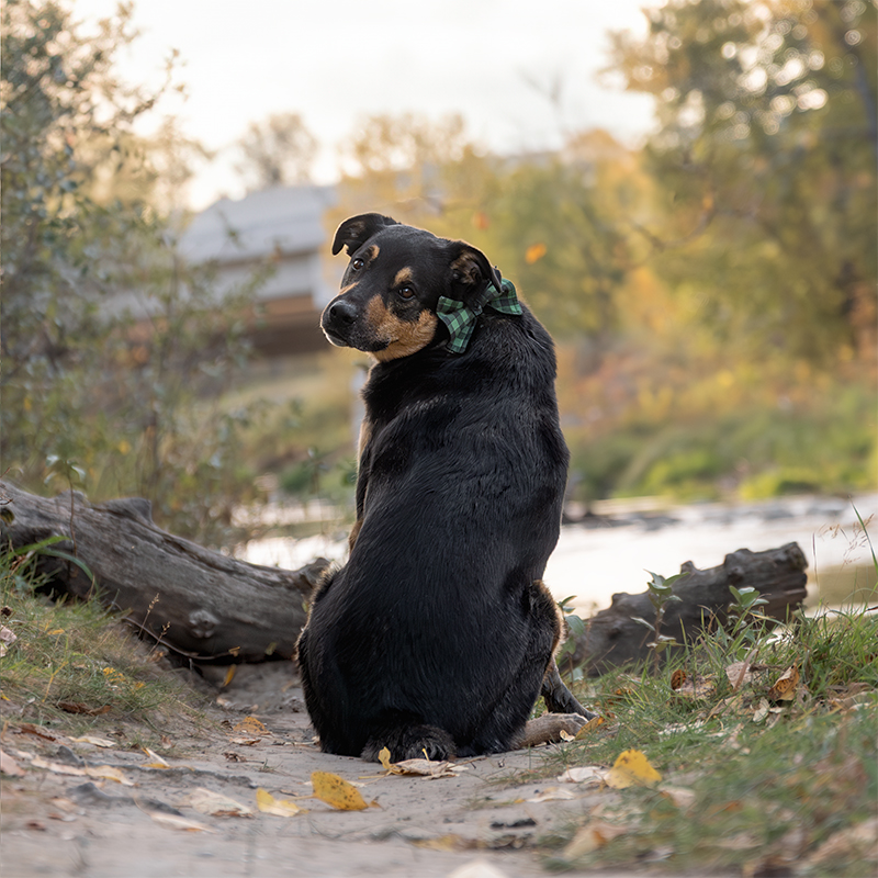 Pecorino_RenaviaPhotography_3_square