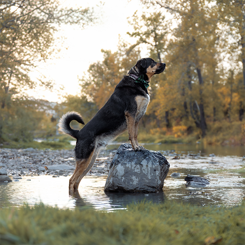 Pecorino_RenaviaPhotography_4_square