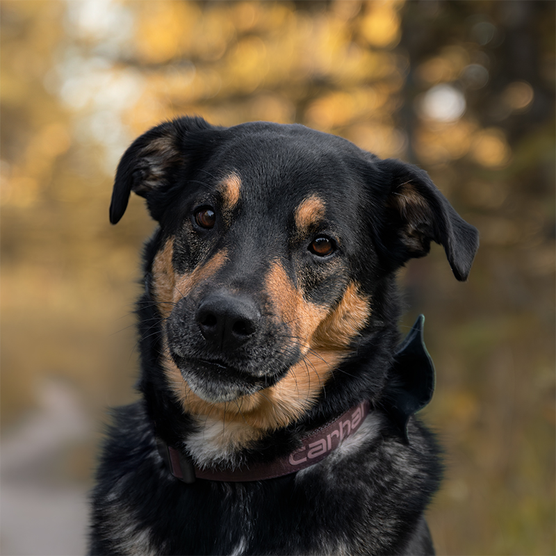 Pecorino_RenaviaPhotography_8_square