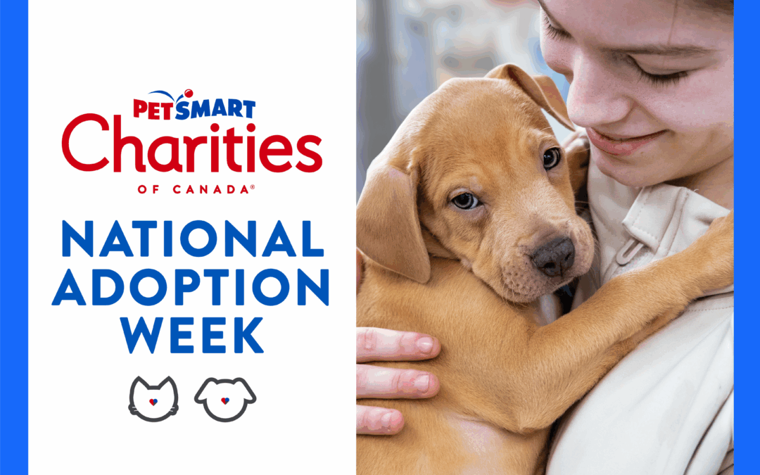 AARCS Adoption Event – PetSmart East Hills