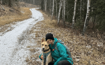 Adoption Update: Lawlor