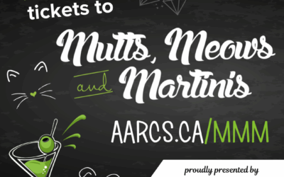 Mutts, Meows & Martinis: The Ultimate Adult Night Out in Calgary This November!