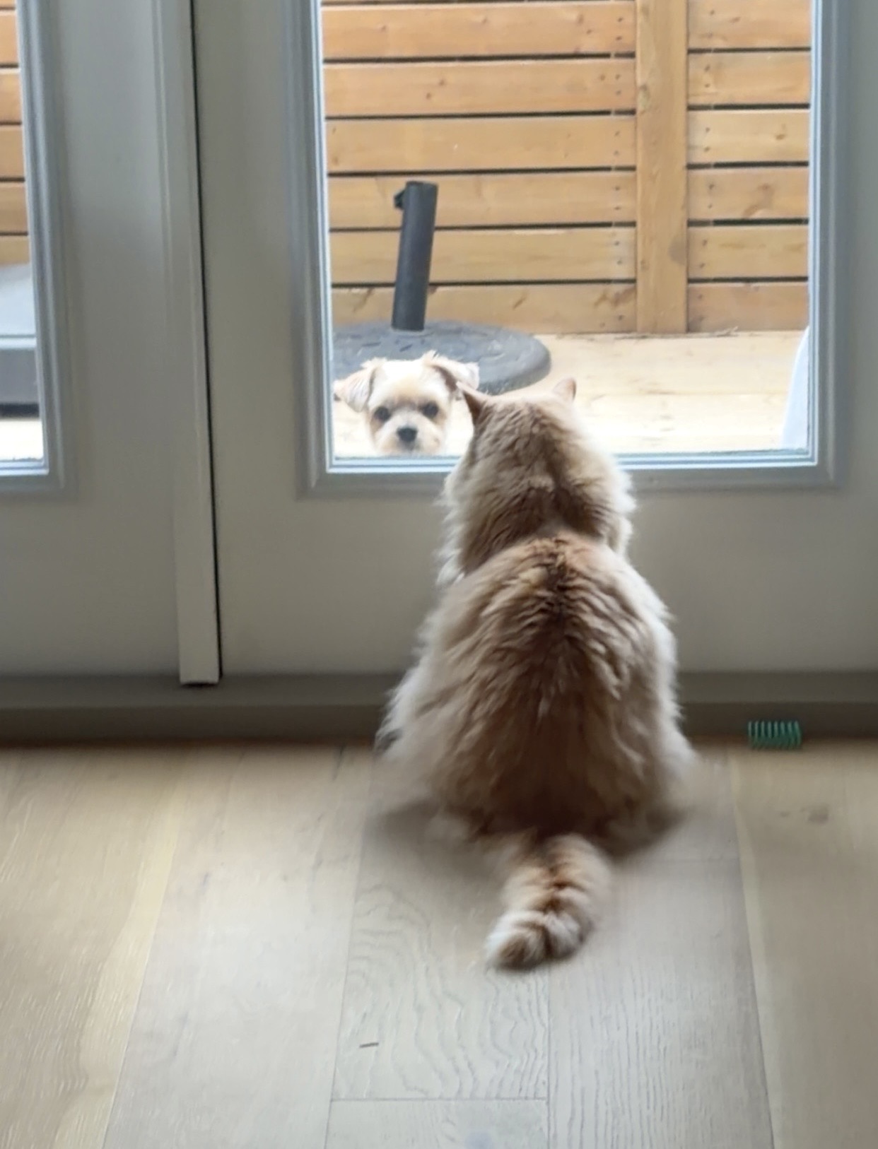 CjMKL1NuYXBjaGF0LzEzLjY2LjEuMCAoaVBob25lMTgsMzsgaU9TIDI2LjE7IGd6aXApIAI=