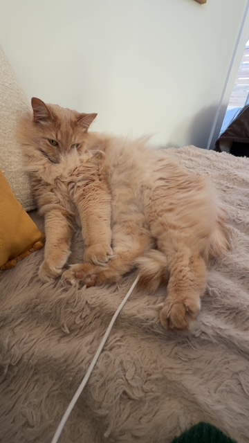 CjMKL1NuYXBjaGF0LzEzLjY3LjEuMCAoaVBob25lMTgsMzsgaU9TIDI2LjE7IGd6aXApIAI=