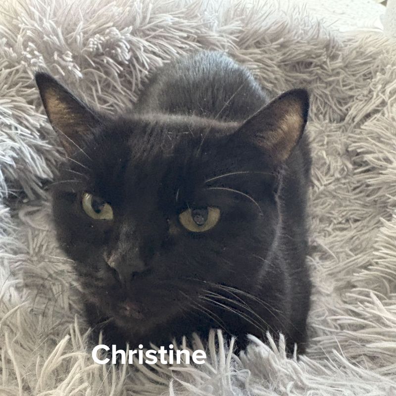 Christine (1)