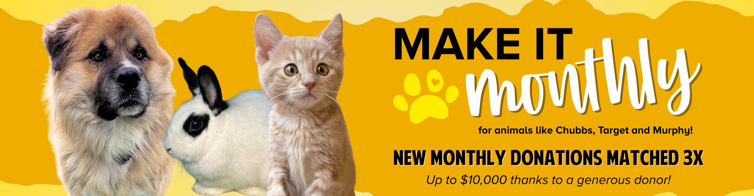 Thank You for Your Donation