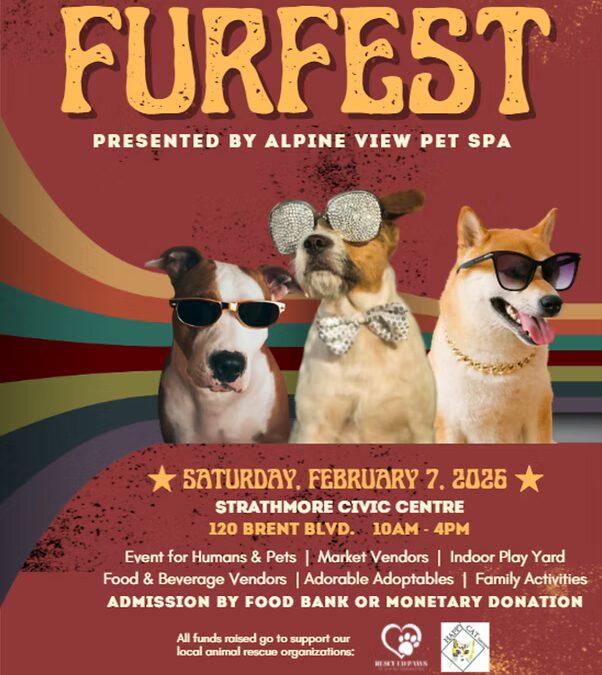 Furfest – Alpine Pet Spa
