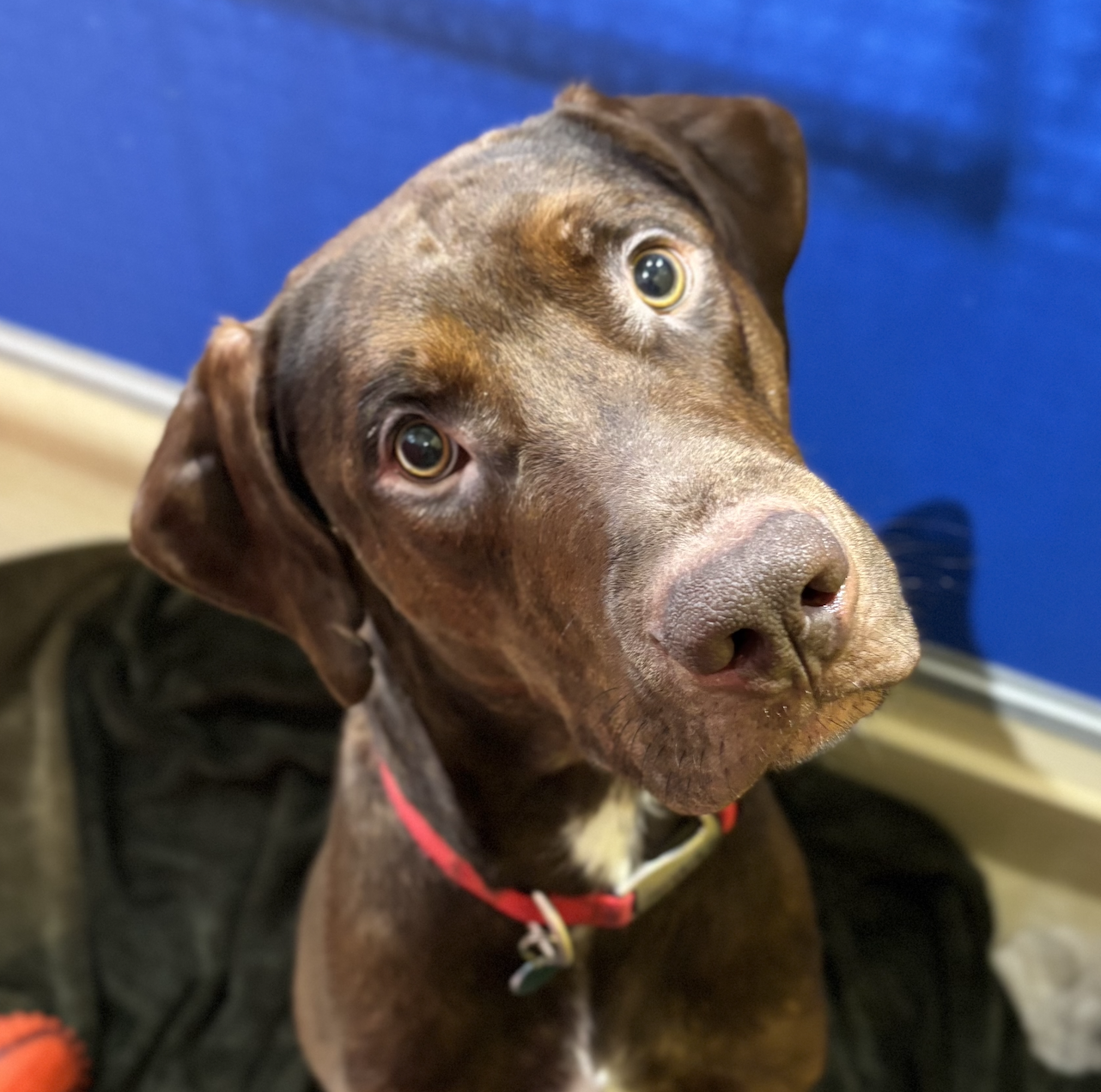 Screenshot 2026-01-16 at 2.53.42 PM