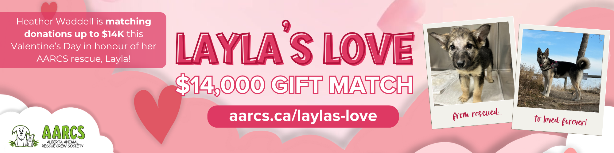 Thank You for Your Donation