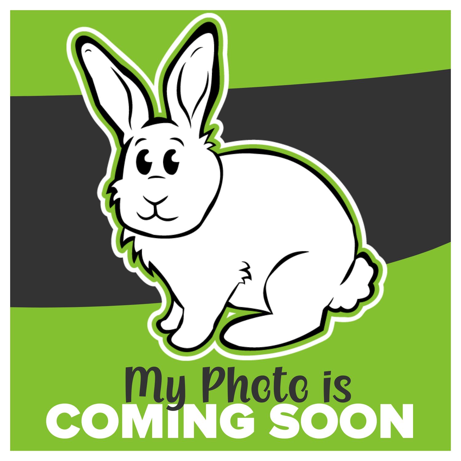 ComingSoon_RABBIT (1)