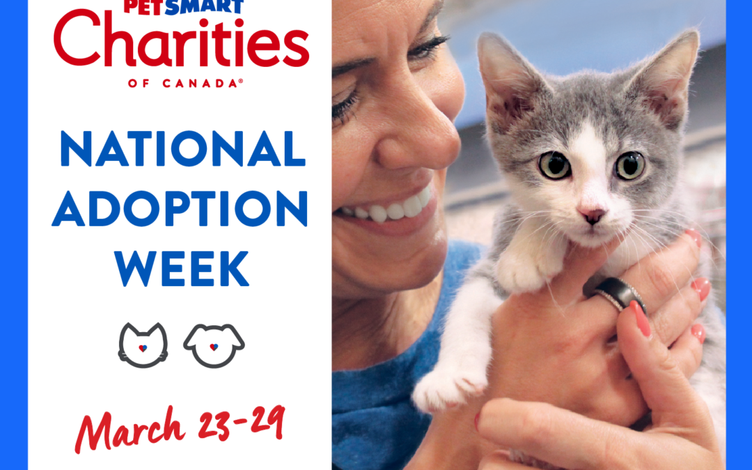 Adoption Event at PetSmart 130th