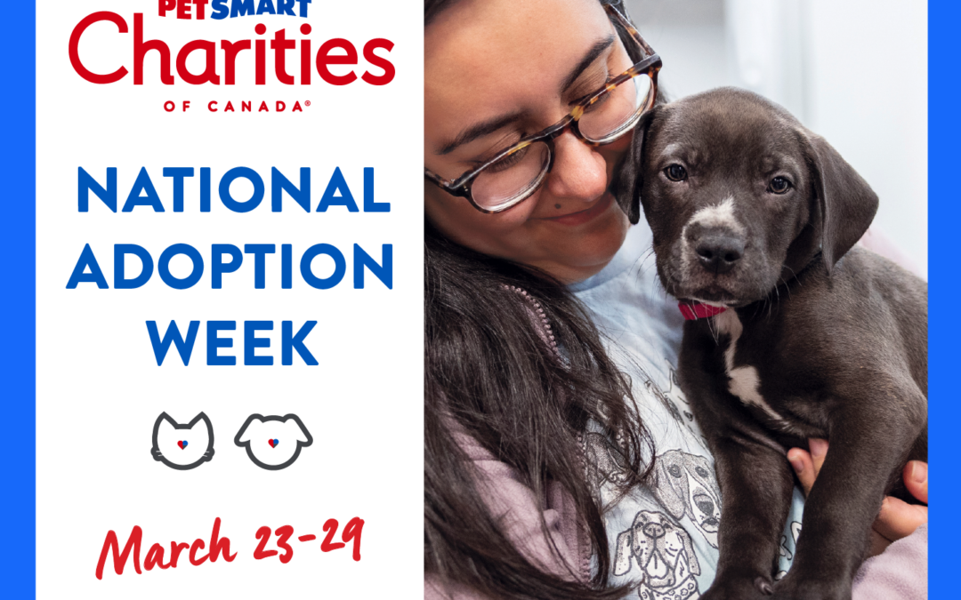 Adoption Event at PetSmart East Hills