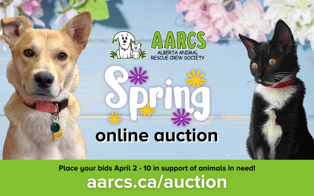 Spring Online Auction