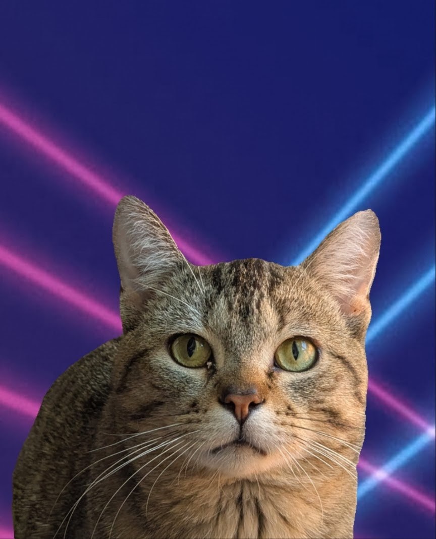 2779